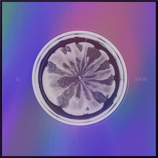 XG NEW DNA CD X ver、10枚 ANCD-64253_ANCD-64254_ANCD-