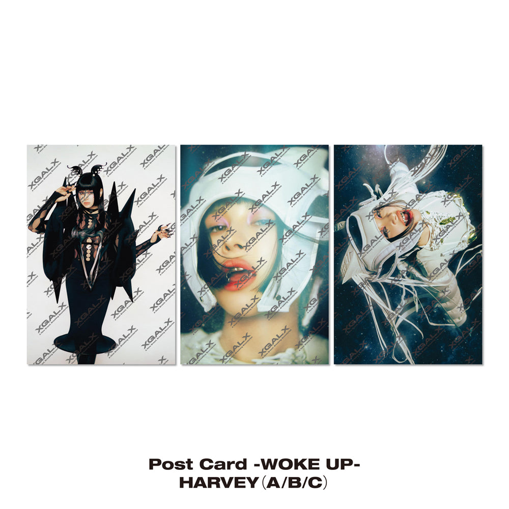 【Build-To-Order】《Ships sequentially from early August onward│8月上旬以降順次出荷》Post Card -WOKE UP- / HARVEY