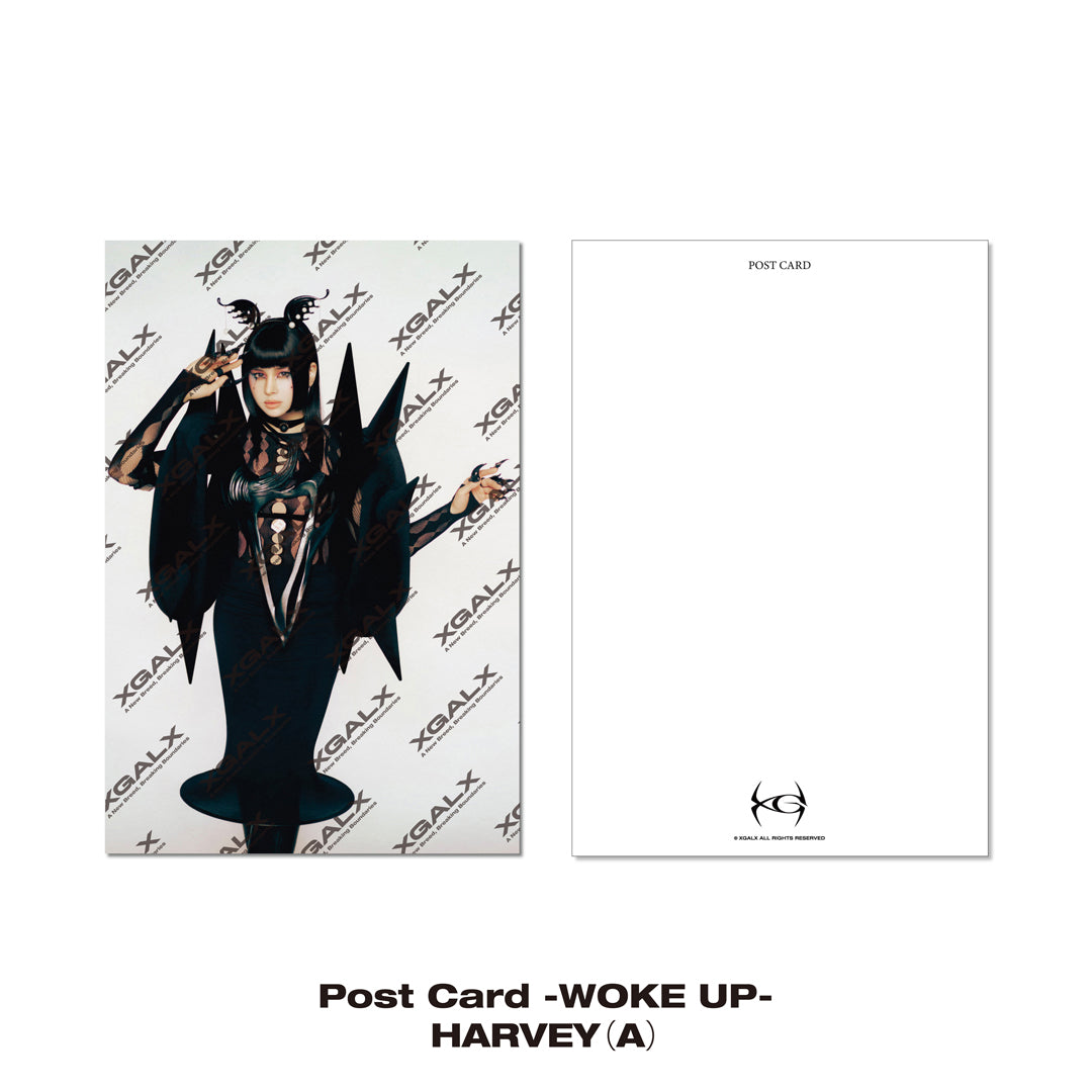
                  
                    《Ships sequentially from early August onward│8月上旬以降順次出荷》Post Card -WOKE UP- / HARVEY
                  
                