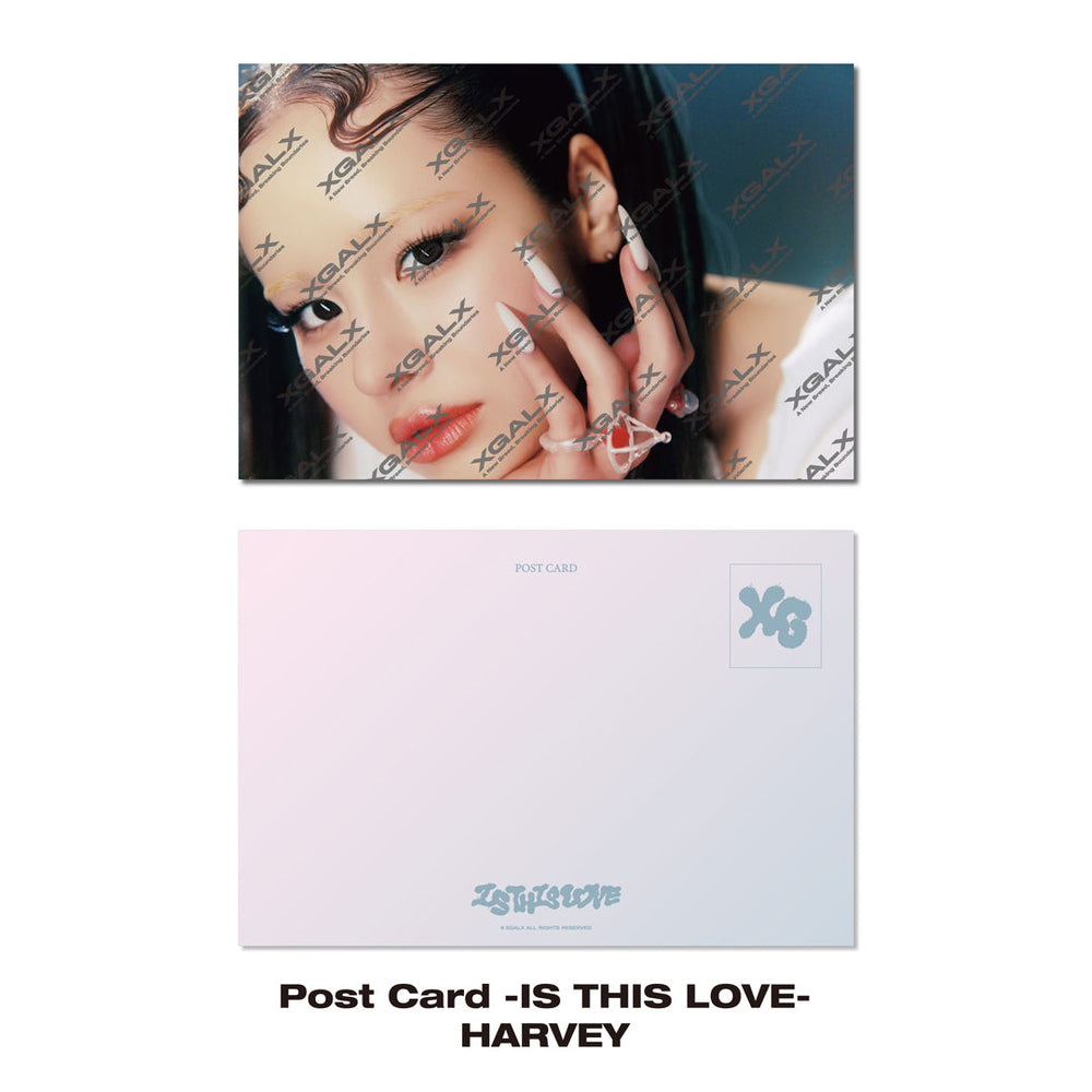 【BLACK FRIDAY】Post Card -IS THIS LOVE- / HARVEY