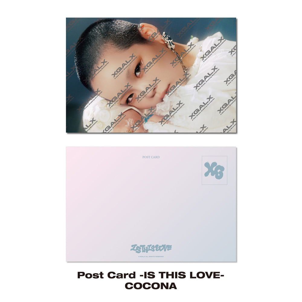 【BLACK FRIDAY】Post Card -IS THIS LOVE- / COCONA