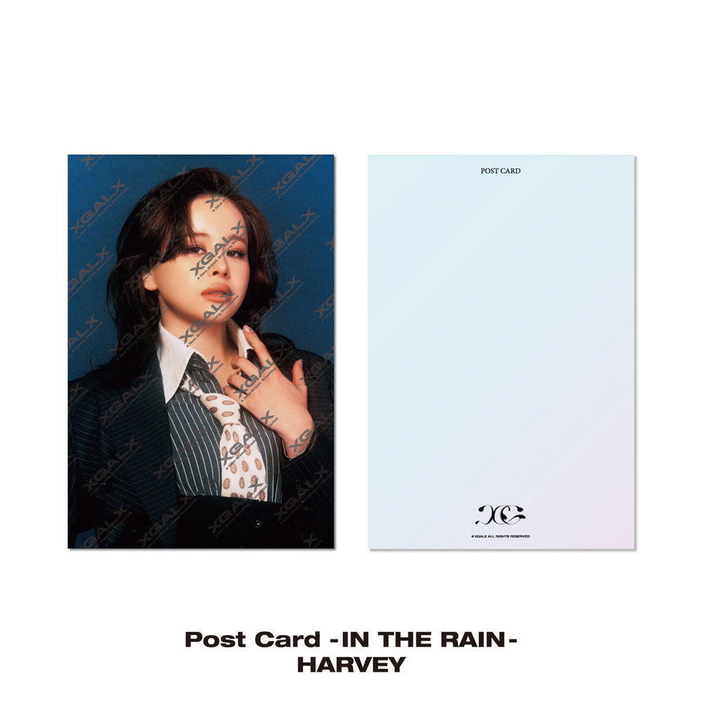 【BLACK FRIDAY】Post Card -IN THE RAIN- / HARVEY