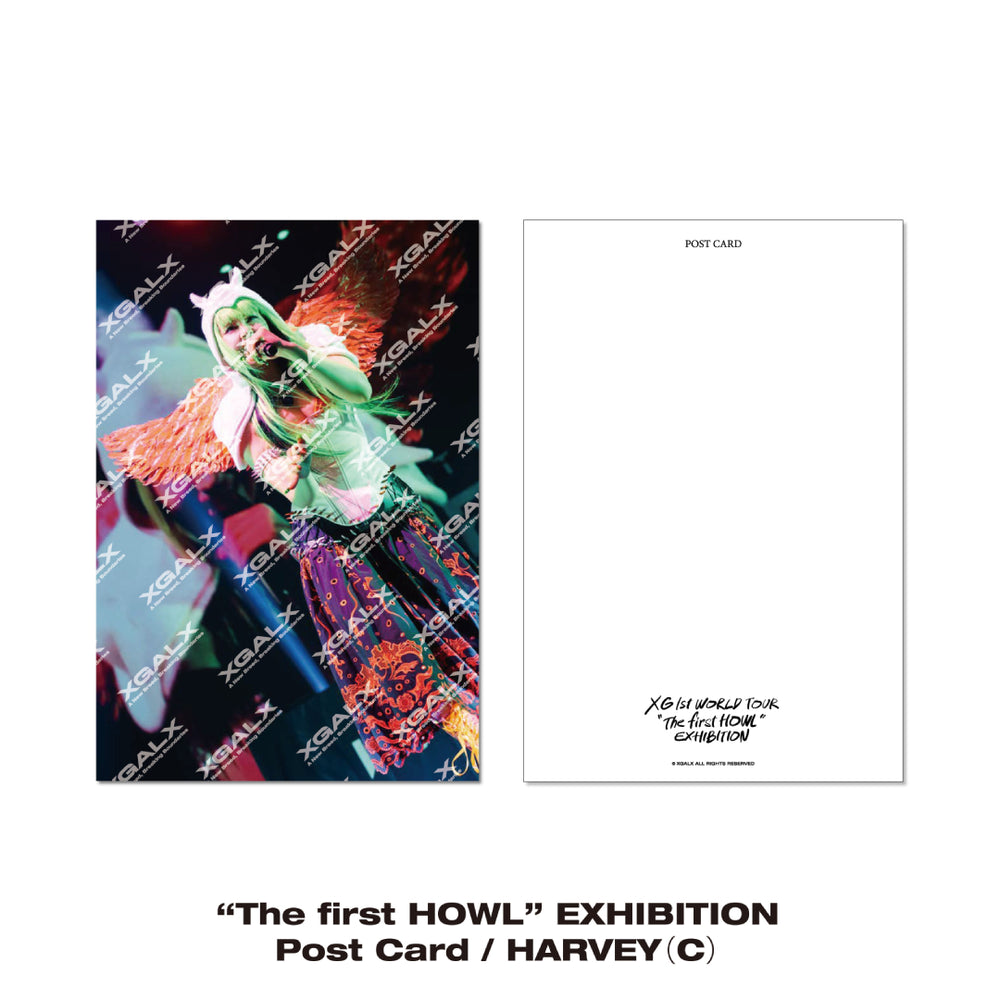 “The first HOWL” EXHIBITION Post Card / HARVEY（C）