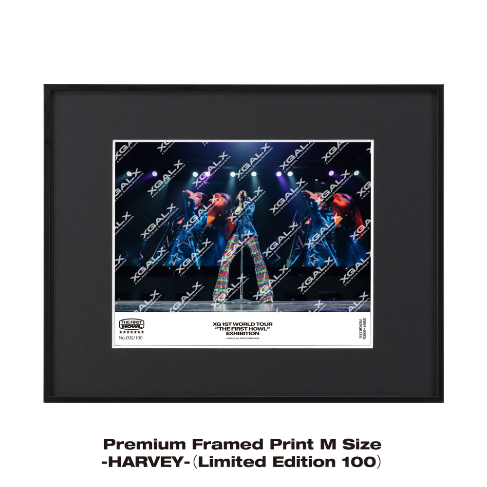 【PRE-ORDER】Premium Framed Print M Size -HARVEY-（Limited Edition 100）