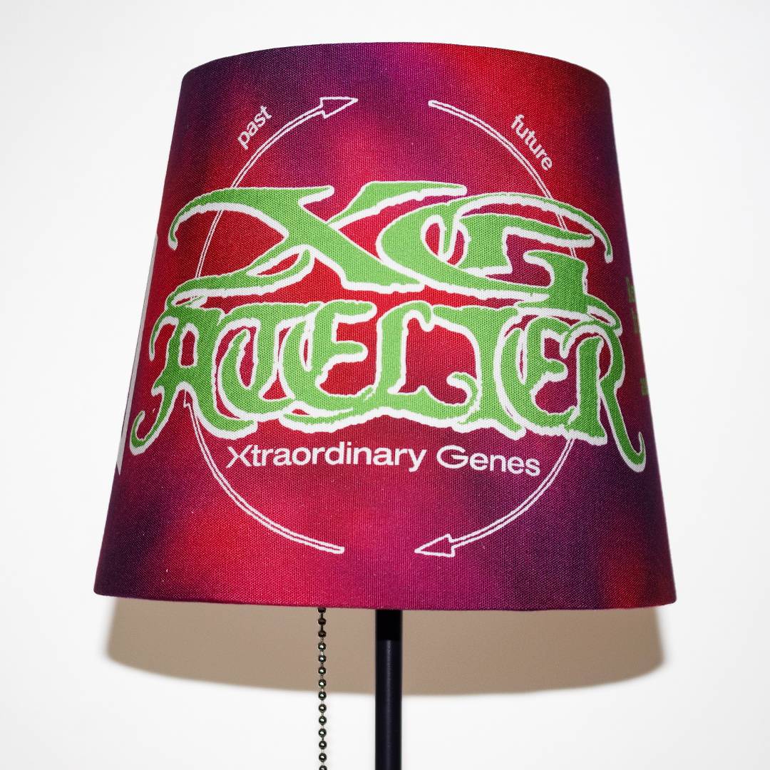 
                  
                    XG ATELIER×HOME ECONOMICS EXPERIMENT Upcycled Lighting / PURPLE
                  
                