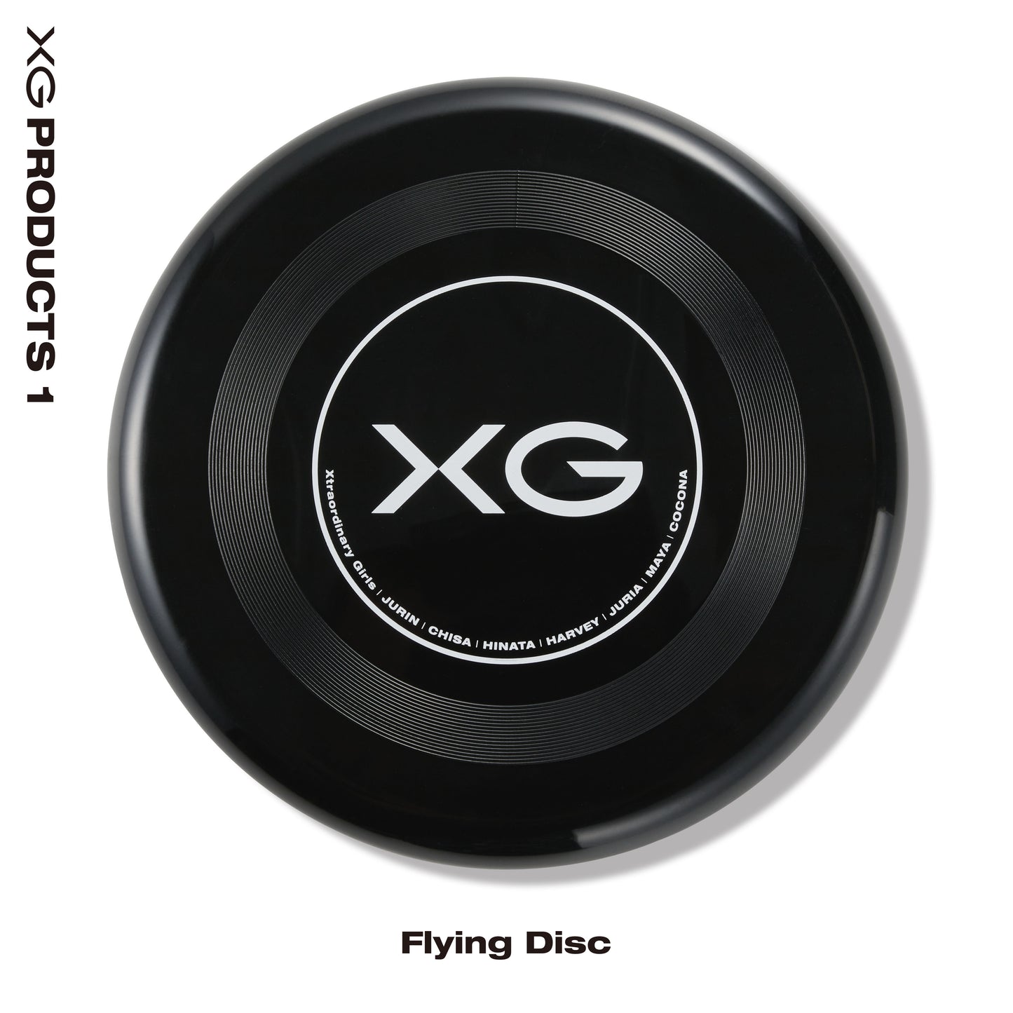 
                  
                    Flying Disc
                  
                
